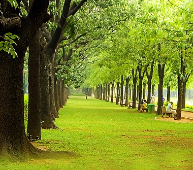 Arttech Elegant Homes LLP - Green Area